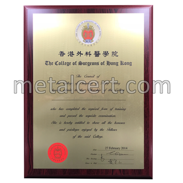 金屬證書 - 香港外科醫學院